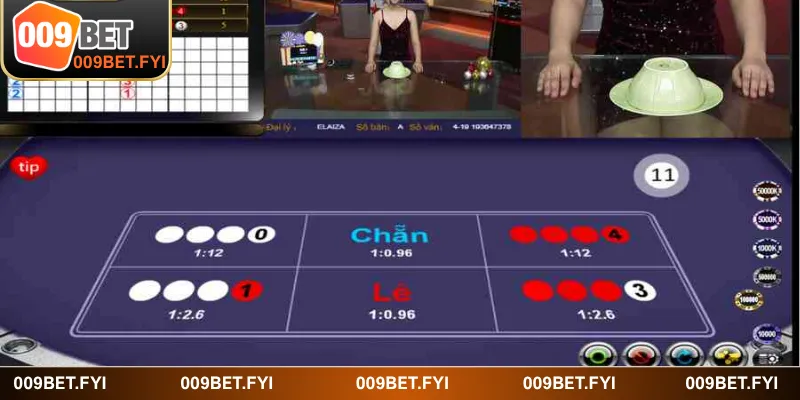 Thông tin cần nắm khi tham gia xóc đĩa tại 009BET